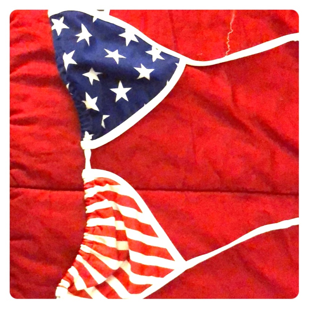 Bathing suit top. American themed.